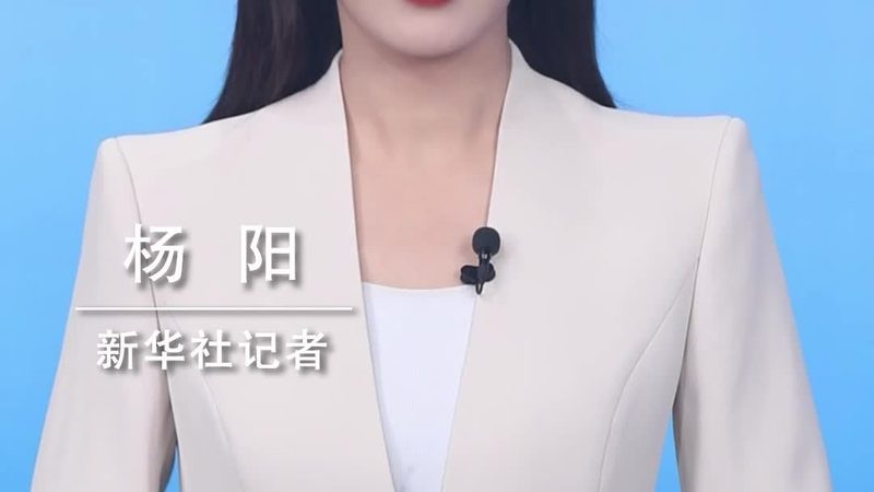 企业数字化转型标准规范的解读与实施